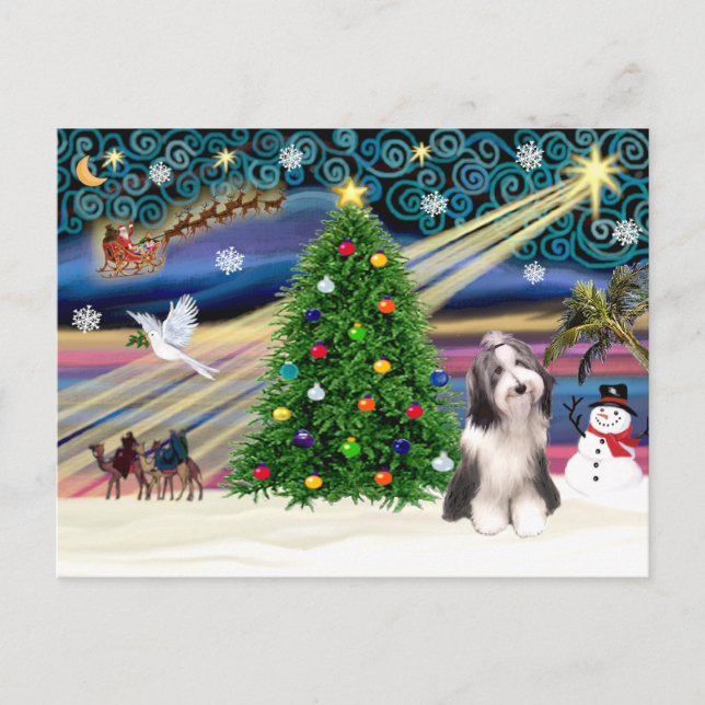 Christmas Magic Bearded Collie 4 Holiday Postcard (Front)