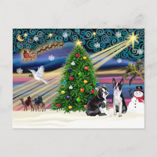 Christmas  Magic-Boston Terrier (2) Holiday Postcard