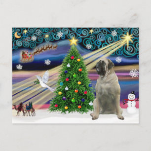 Christmas Magic Bull Mastiff #11 Holiday Postcard