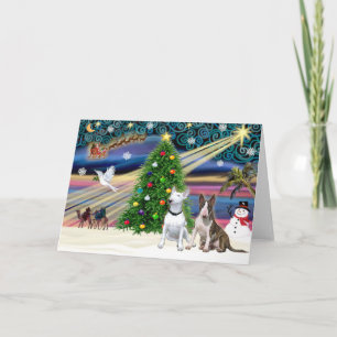Christmas Magic Bull Terriers (two) Holiday Card