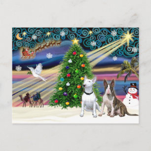 Christmas Magic Bull Terriers (two) Holiday Postcard