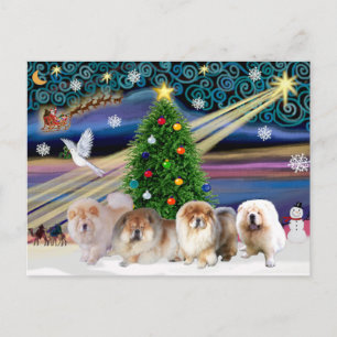 Christmas Magic Chow Chows (four) Holiday Postcard