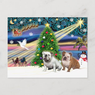 Christmas Magic English Bulldogs (two) Holiday Postcard