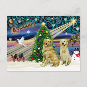 Christmas Magic Golden Retrievers (two) Holiday Postcard