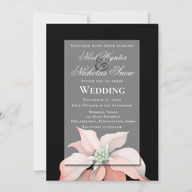 Christmas Magic/ Poinsettia Flower/ Black Wedding Announcement (Front)