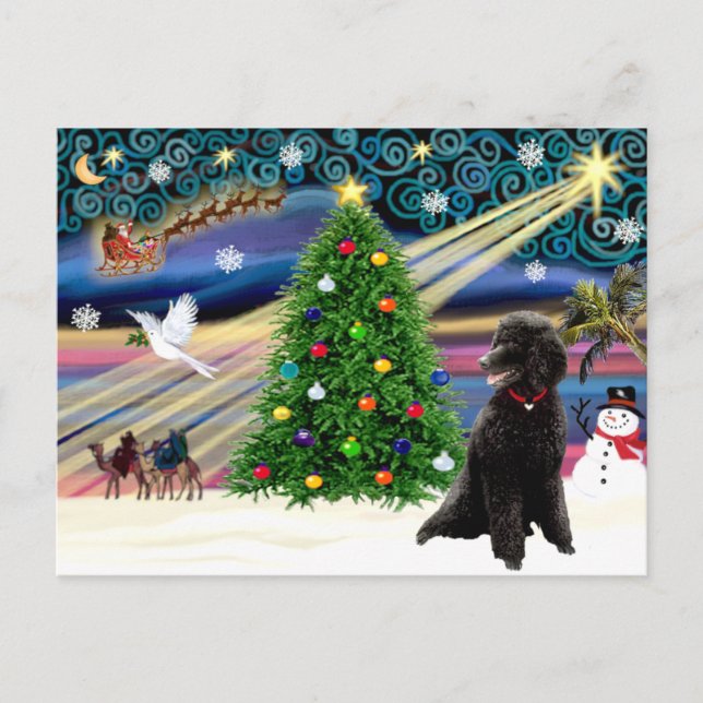 Christmas Magic Poodle (black Standard) Holiday Postcard (Front)