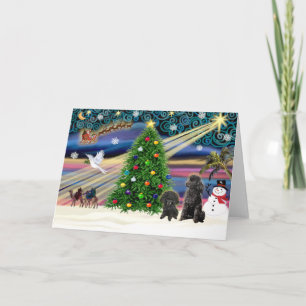 Christmas Magic Poodles (two black Toy) Holiday Card