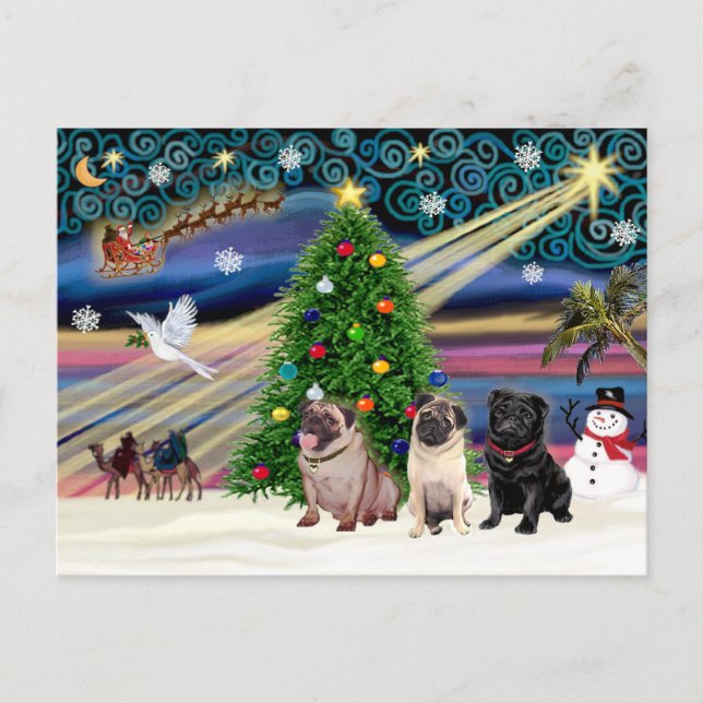 Christmas Magic Pugs (three, 2 fawn, 1 black) Holiday Postcard (Front)