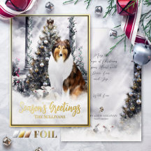 Christmas Magic, Sable Rough Collie Dog & Lambs -