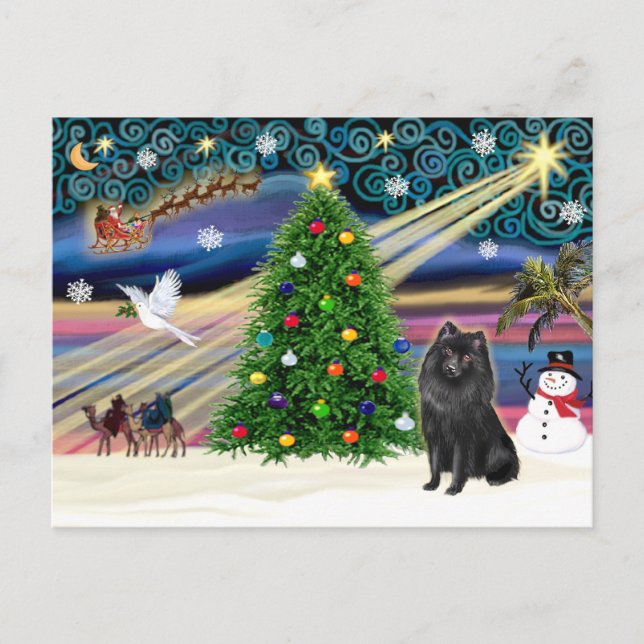 Christmas Magic Schipperke Holiday Postcard (Front)