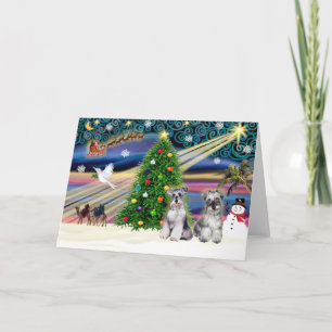 Christmas Magic Schnauzers (two) Holiday Card