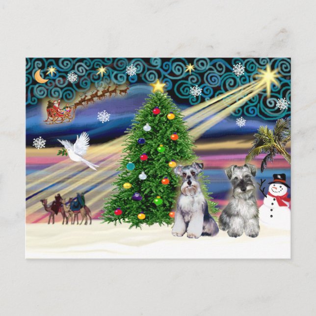 Christmas Magic Schnauzers (two) Holiday Postcard (Front)