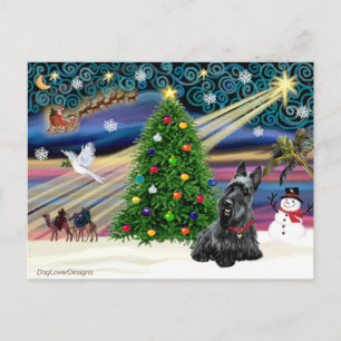 Christmas Magic Scottish Terrier 2B Holiday Postcard