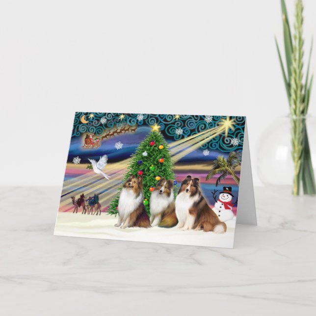 Christmas Magic Shetland Sheepdogs (3 Sable) Holiday Card (Front)