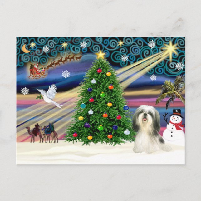 Christmas Magic Shih Tzu 4 Holiday Postcard (Front)