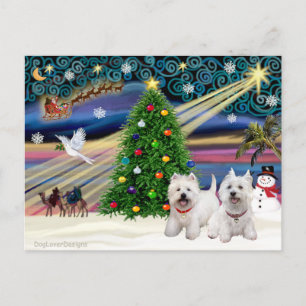 Christmas Magic West Highland Terrier (two) Holiday Postcard