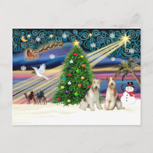Christmas Magic - Wire Fox Terriers (two) Holiday Postcard