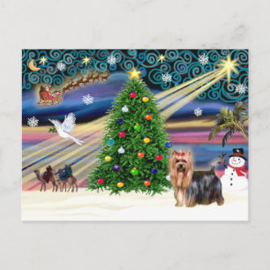 Christmas Magic Yorkshire Terrier #9 Holiday Postcard