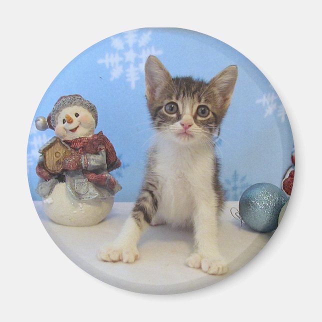 Christmas Magnet - Cat / Kitten (Front)