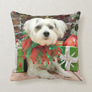Christmas - Maltese - Oscar Cushion