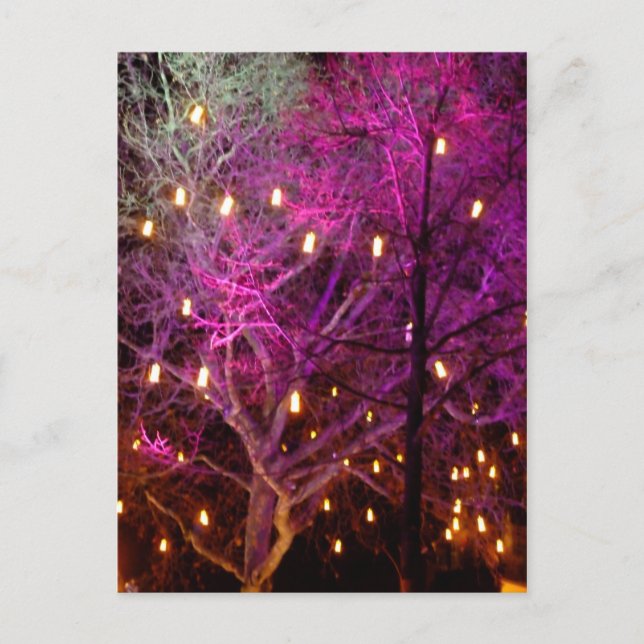 Christmas Market Lights in Cologne Postcard (Front)