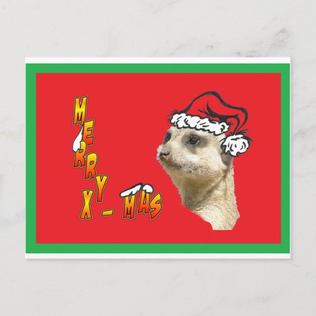Christmas Meerkat Red Postcard (Front)