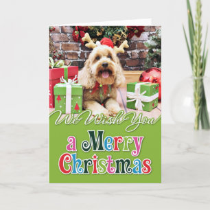 Christmas - Mini GoldenDoodle - Maggie Holiday Card