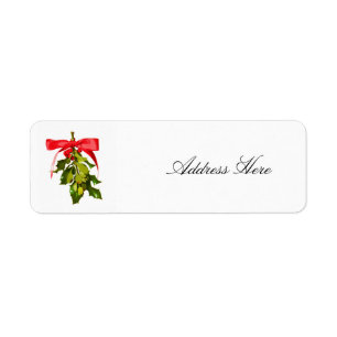 Christmas mistletoe