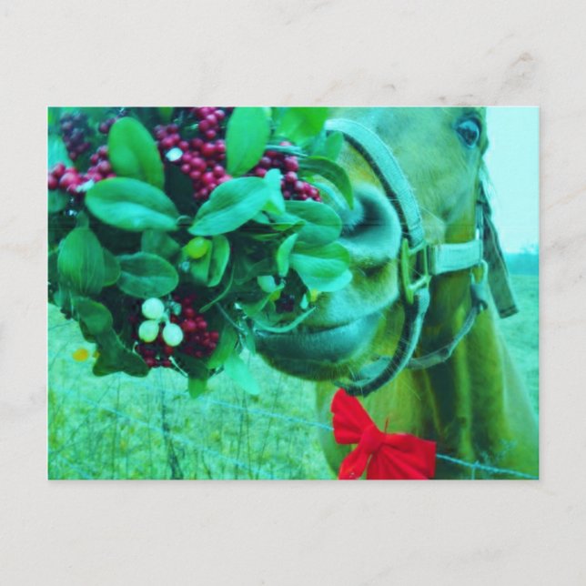 Christmas Mistletoe Teal Horse Holiday Postcard (Front)