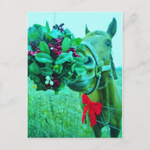 Christmas Mistletoe Teal Horse Holiday Postcard