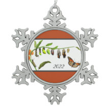 Christmas Monarch butterfly lifecycle