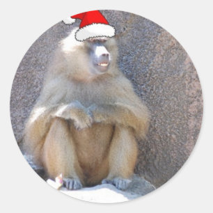 Christmas Monkeys and Baboons Classic Round Sticker