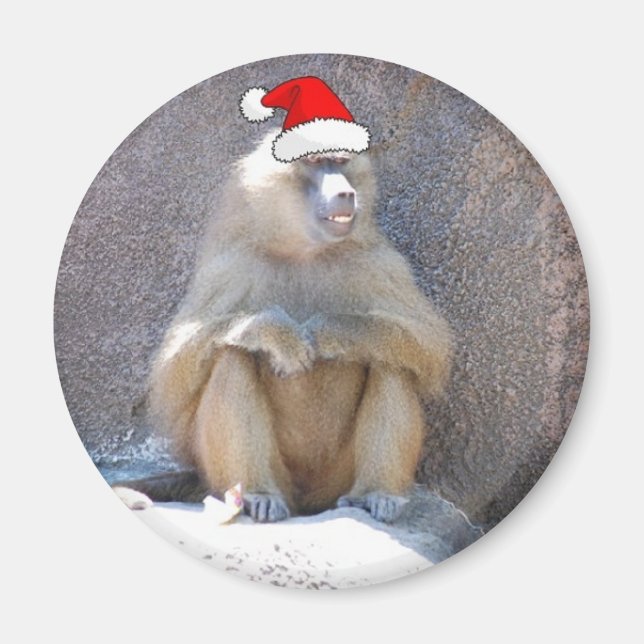Christmas Monkeys and Baboons Magnet (Front)