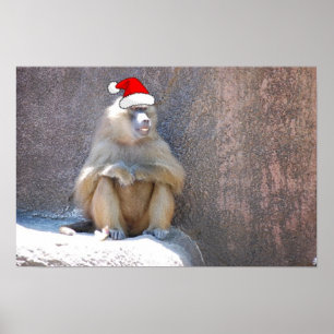 Christmas Monkeys and Baboons Poster