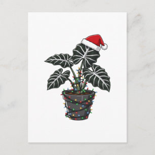 Christmas Monstera Deliciosa Split Leaf Tropical Announcement Postcard