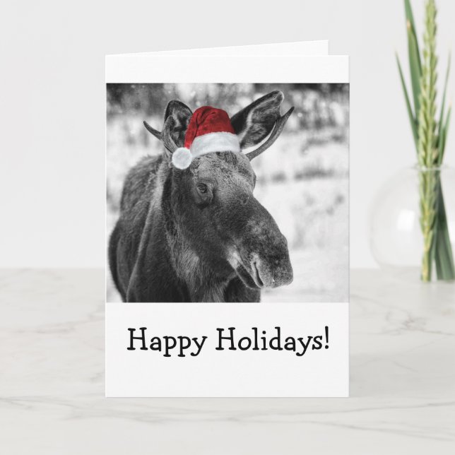 Christmas moose holiday card. card (Front)
