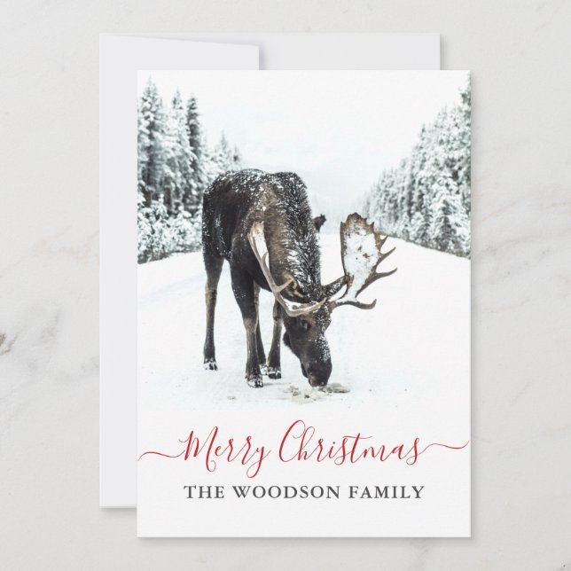 Christmas Moose Winter Snow Merry Christmas Holiday Card (Front)