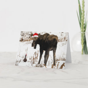 Christmas moose with duck holiday card. card