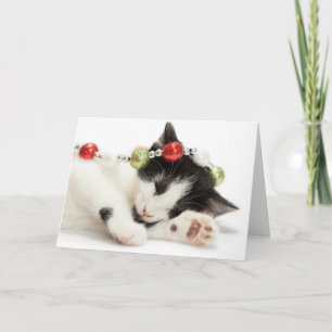 Christmas Morning Kitten Holiday Card