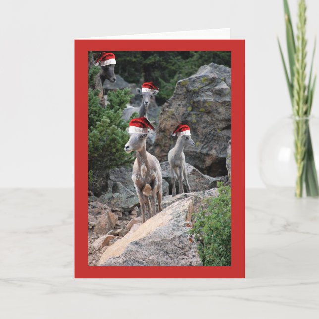 Christmas Mountain Goats Holiday Card (Front)