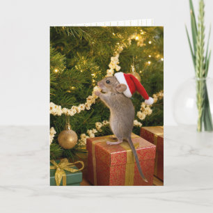 Christmas Mouse Eating Popcorn Garland on Tree Card