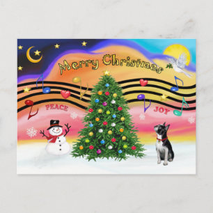 Christmas Music 2 - BostonTerrier2 Holiday Postcard