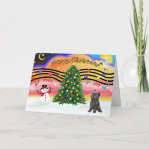 Christmas Music 2 - Cairn (brindle 21) Holiday Card