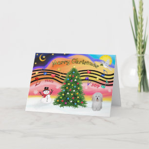 Christmas Music 2 - Coton De Tulear Holiday Card