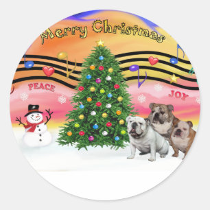 Christmas Music 2 - English Bulldogs (three) Classic Round Sticker