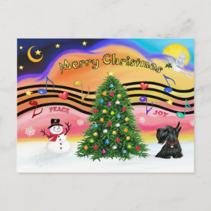 Christmas Music 2 - Scottish Terrier 12 Holiday Postcard