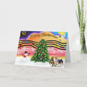 Christmas Music 2 - Silky Terriers (three) Holiday Card