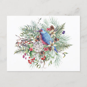 Christmas Nature Illustration with Bird & Berries Holiday Postcard