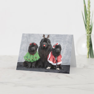 Christmas Newfies Greeting Card