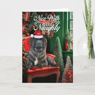 Christmas Newfoundland Dog Naughty or Nice Holiday Card